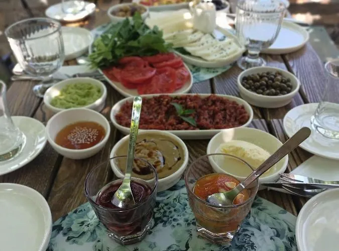 Pulinda Pansiyon 4* Doğanbey